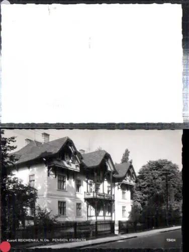 308795,Reichenau an d. Rax Pension Krobath