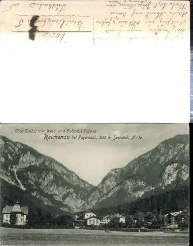 308911,Reichenau an d. Rax b. Payerbach Hotel Thalhof m. Wald- und Hubertus-Villa