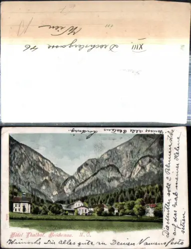 308915,Reichenau an d. Rax Hotel Thalhof Villen