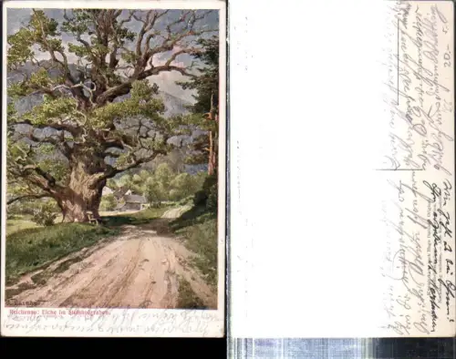 308993,Künstler AK Hugo Darnaut Reichenau an d. Rax Eiche im Steinhofgraben