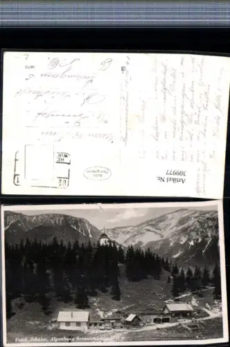 309977,Friedrich Schüler Alpenhaus am Sonnwendstein b. Semmering Bergkulisse