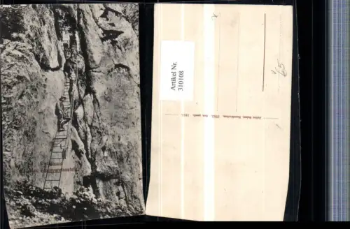 310108,Rax Ceplwand Alpenvereinssteig b. Reichenau Leiter Bergsteiger pub Julius Seiser 3762