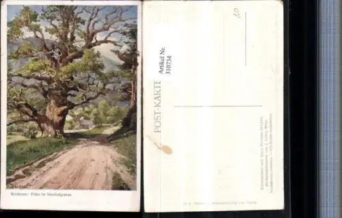 310734,Künstler AK Hugo Darnaut Reichenau an d. Rax Eiche im Steinhofgraben