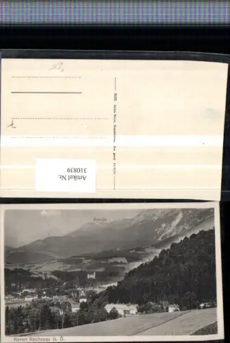 310839,Reichenau an d. Rax Teilansicht m. Raxalpe Bergkulisse pub Julius Seiser 6025