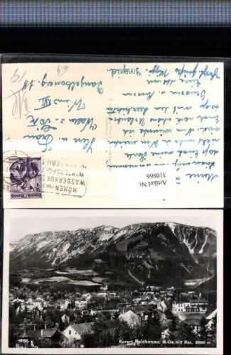 310866,Reichenau an d. Rax Teilansicht m. Rax Bergkulisse