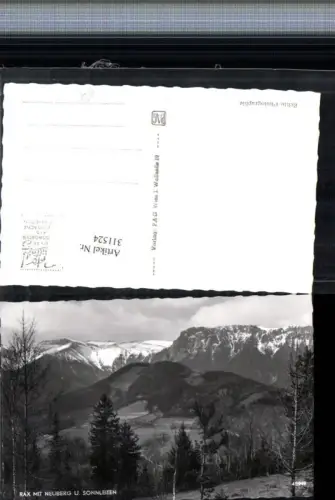 311524,Rax m. Neuberg u. Sonnleiten b. Reichenau Bergkulisse