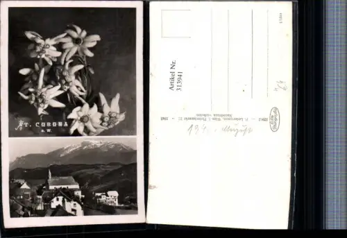 313941,St. Corona am Wechsel Totale Bergkulisse Edelweiß Mehrbildkarte