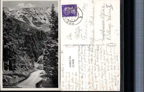 313948,Preinergscheidstraße m. Raxalpe b. Prein Bergkulisse