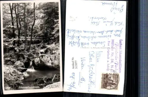 313977,Johannesbachklamm b. Würflach Brücke Waldbach