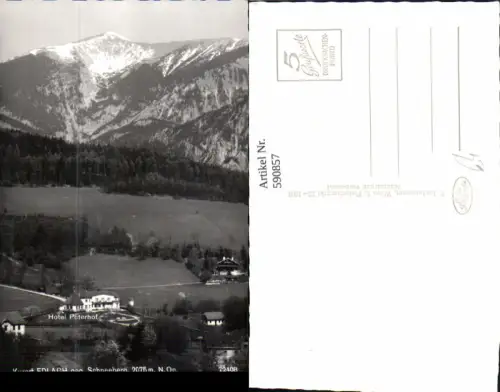 590857,Foto Ak Edlach geg. Schneeberg Hotel Peterhof Reichenau an der Rax