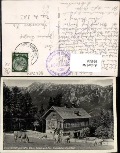 664598,Reichenau Edlach a. d. Rax Payerbach Gastwirtschaft Auerhahn Kühe Rinder