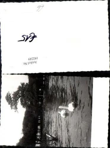 192249,Gmunden Foto Ak Hochwasser 1959 Traunsee Schwäne Statue Denkmal Kaiser Franz Josef pub F. E. Brandt