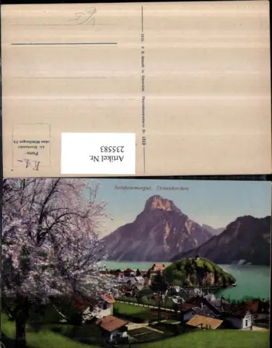 235583,Traunkirchen Totale geg. Traunstein pub F. E. Brandt 1319