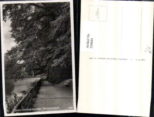 254044,Gmunden Traunpromenade Partie pub F. E. Brandt 5597