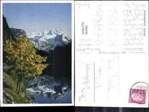 265463,Salzkammergut Gosausee Gosau pub F. E. Brandt 5393euro2