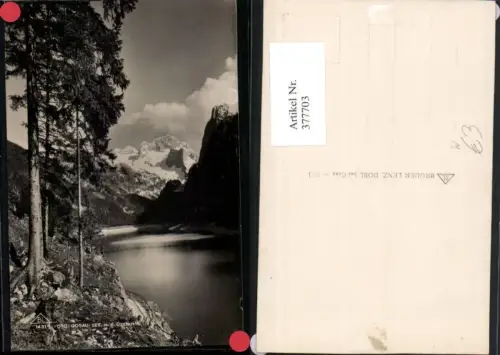377703,Vorderer Gosausee See b. Gosau m. Dachstein Bergkulisse