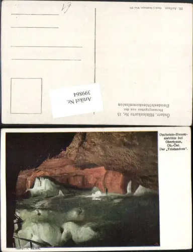 399864,Künstler AK Dachstein-Rieseneishöhle b. Obertraun Tristandom