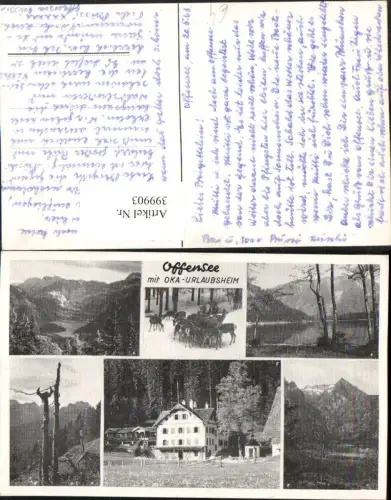 399903,Offensee See b. Ebensee Wild Rehe Bergkulisse Mehrbildkarte