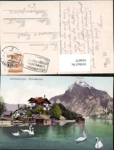 416075,Traunkirchen Schwäne m. Traunstein Bergkulisse pub F. E. Brandt 407