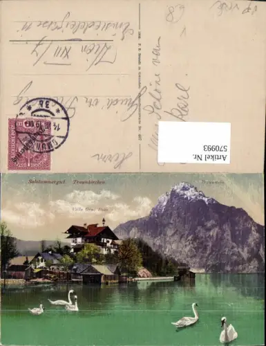 570993,Traunkirchen Salzkammergut Schwan pub F. E. Brandt 407