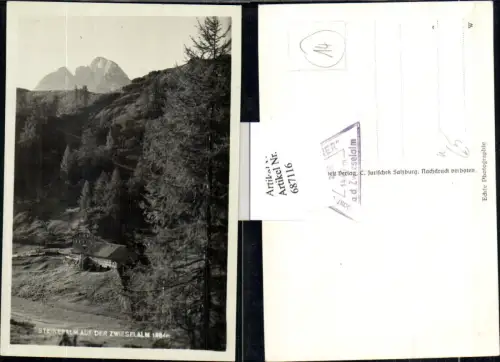 687116 Foto-AK Steineralm auf der Zwieselalm b. Gosau