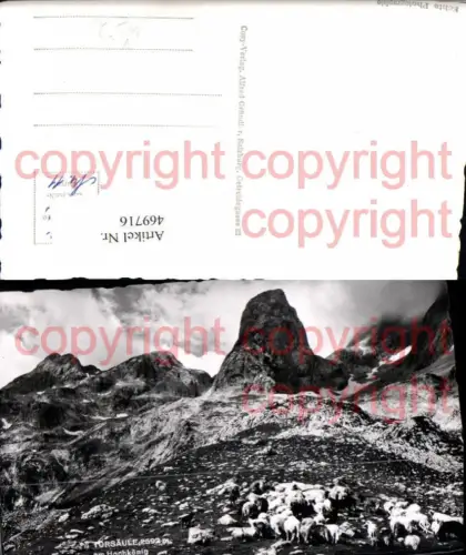 469716,Torsäule am Hochkönig b. Mühlbach Bergkulisse Schafe pub Cosy