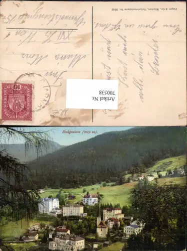 700538 Badgastein Bad Gastein pub Purger e Co. 9646