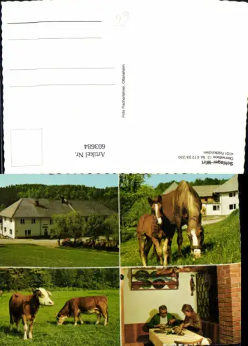 603684,Mehrbild Ak Feldkirchen Schlager-Wirt Pferde Kühe Rinder