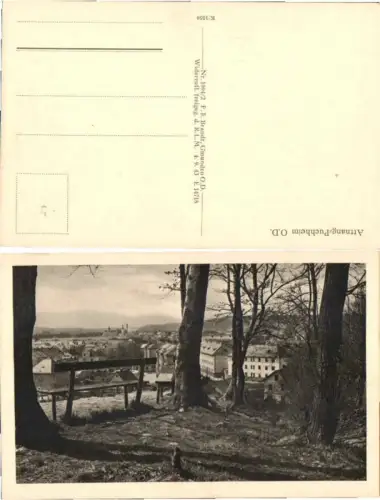 66088,Attnang Puchheim bei Wels Partie im Wald