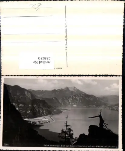 255030,Blick vom Brennerriesensteig auf d. Attersee u. Schafberg Bergkulisse pub F. E. Brandt 5544