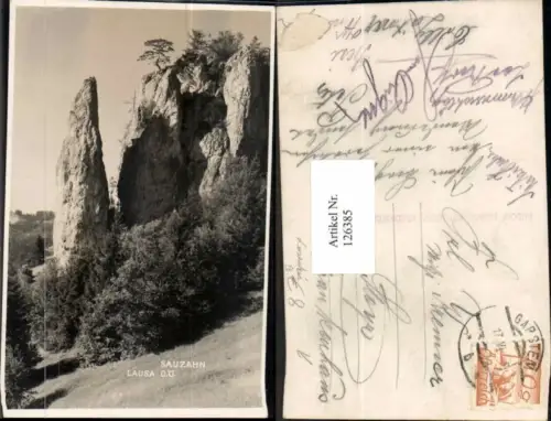 126385,Sauzahn bei Ternberg Lausa Losenstein 1925