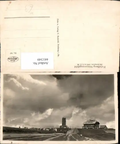 441349,Feldberg im Schwarzwald Aussichtsturm Rinder