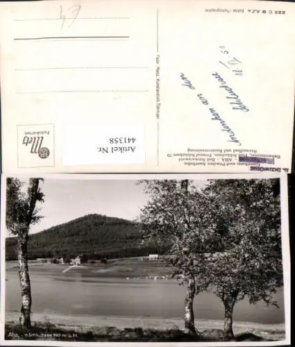 441358,Aha am Schluchsee See Birken