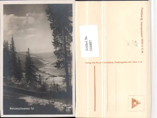 516497,Feldberg im Schwarzwald Menzenschwander Tal Landschaft