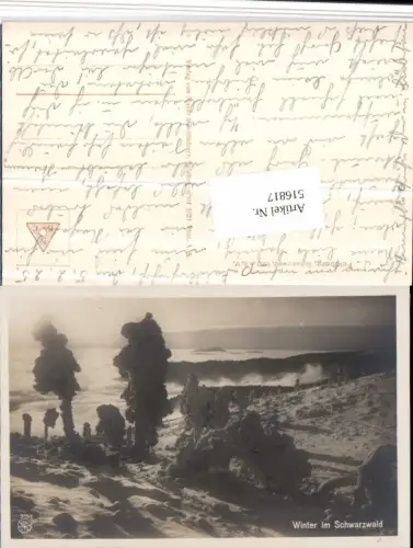 516817,Feldberg im Schwarzwald Winterlandschaft