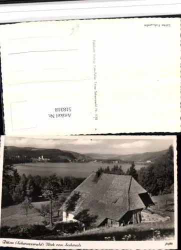 518318,Titisee im Schwarzwald Blick vom Seehäusle