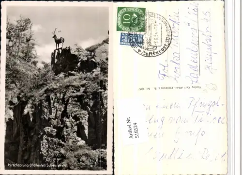 518524,Höllental im Schwarzwald b. Hinterzarten Hirschsprung Statue
