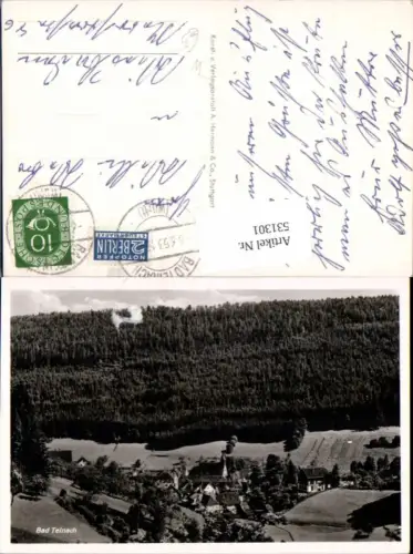 531301,Bad Teinach-Zavelstein Totale