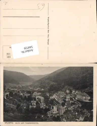 544729,Wildbad Hotel Blick