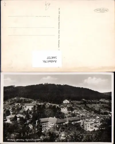 544737,Wildbad Teilansicht