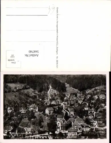 544740,Fliegeraufnahme Wildbad