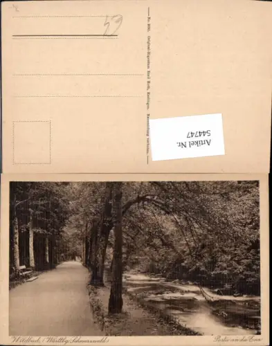 544747,tolle AK Wildbad Partie an der Enz