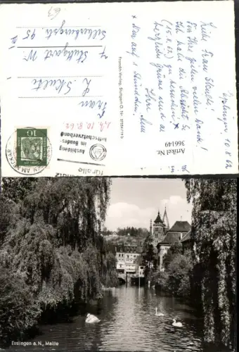 366149,Esslingen am Neckar Maille Fluss Schwäne