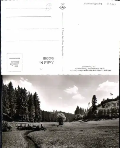 542998,Foto Ak Pfalzgrafenweiler Freudenstadt Schwarzwald Zinsbachtal Brücke