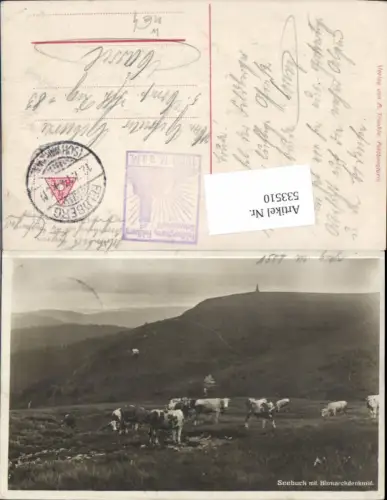 533510, Seebuck mit Bismarckdenkmal Feldberg Kühe Schwarzwald