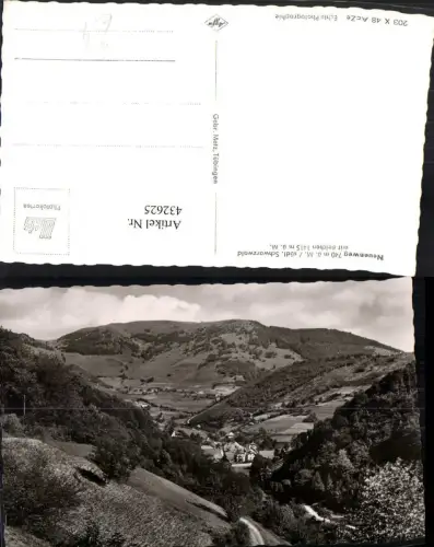 432625,Neuenweg im Schwarzwald Totale m. Belchen