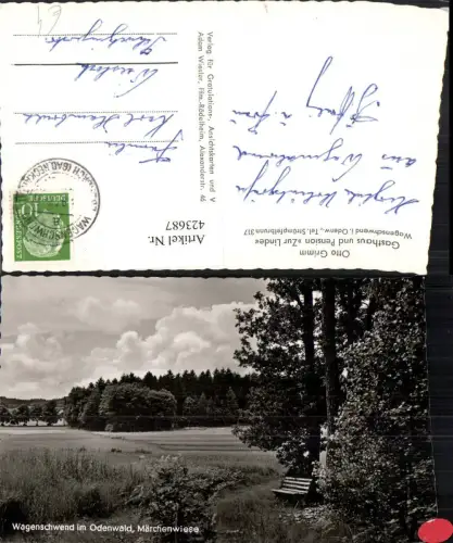 423687,Wagenschwend im Odenwald Märchenwiese Landschaft