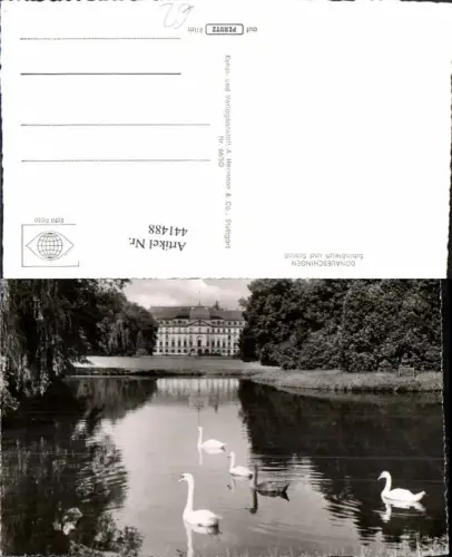 441488,Donaueschingen Schlossteich u. Schloss Schwäne