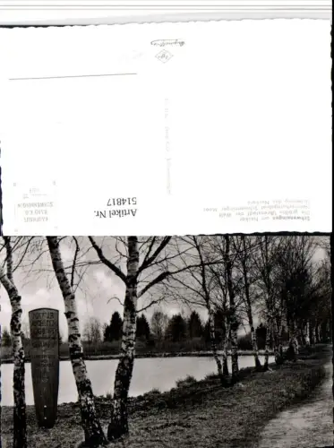 514817,Schwenningen am Neckar Schwenninger Moos Birken Bäume