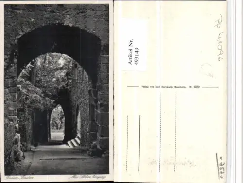 493149,Baden-Baden Altes Schloss Eingang Tor